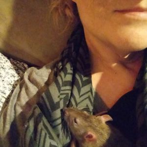 Meet your Posher, Jessica